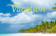 Ein Strand mit Palmen und Permanent Vacation-Schriftzug