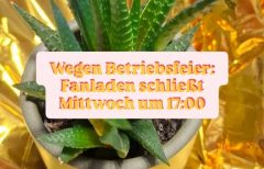 Plastikblume auf goldener Rettungsdecke