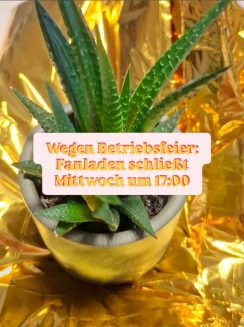 Plastikblume auf goldener Rettungsdecke